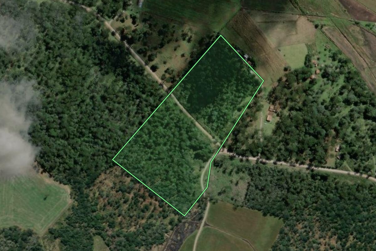 Imagem de satélite do imóvel rural em Rebouças (PR), com o contorno declarado no CAR desenhado por cima.