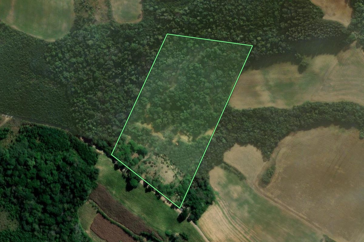 Imagem de satélite do imóvel rural em Rebouças (PR), com o contorno declarado no CAR desenhado por cima.