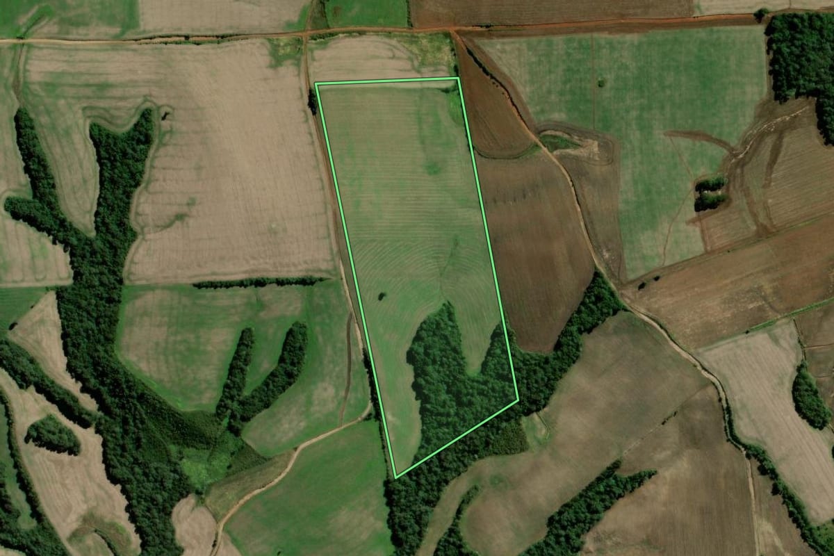 Imagem de satélite do imóvel rural em Rebouças (PR), com o contorno declarado no CAR desenhado por cima.