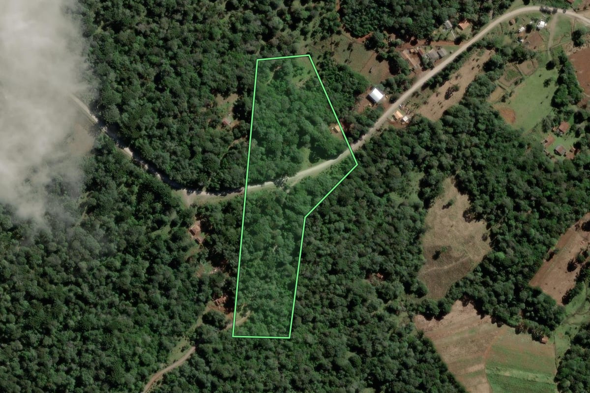 Imagem de satélite do imóvel rural em Rebouças (PR), com o contorno declarado no CAR desenhado por cima.