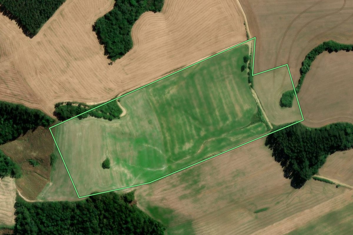 Imagem de satélite do imóvel rural em Rebouças (PR), com o contorno declarado no CAR desenhado por cima.