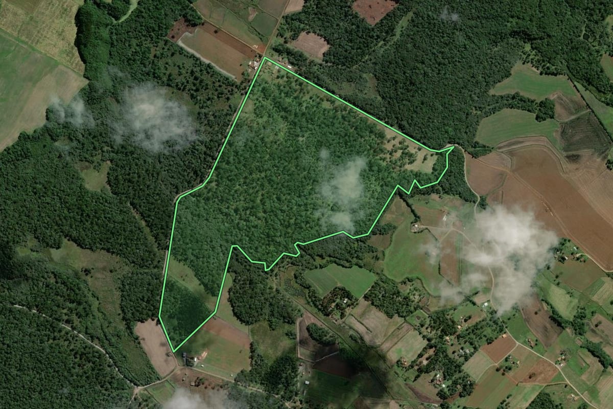 Imagem de satélite do imóvel rural em Rebouças (PR), com o contorno declarado no CAR desenhado por cima.