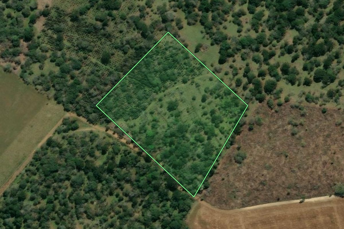 Imagem de satélite do imóvel rural em Rebouças (PR), com o contorno declarado no CAR desenhado por cima.