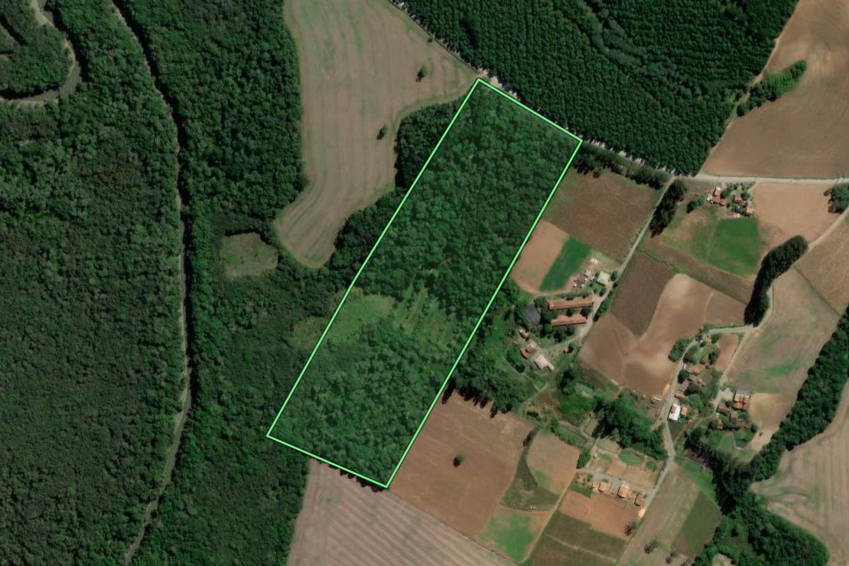 Imagem de satélite do imóvel rural em Rebouças (PR), com o contorno declarado no CAR desenhado por cima.