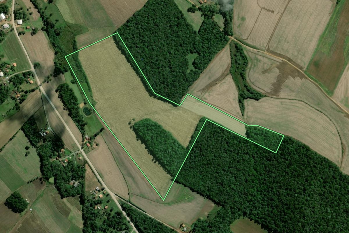 Imagem de satélite do imóvel rural em Rebouças (PR), com o contorno declarado no CAR desenhado por cima.