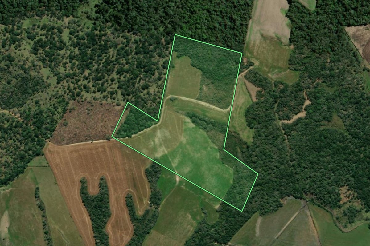 Imagem de satélite do imóvel rural em Rebouças (PR), com o contorno declarado no CAR desenhado por cima.