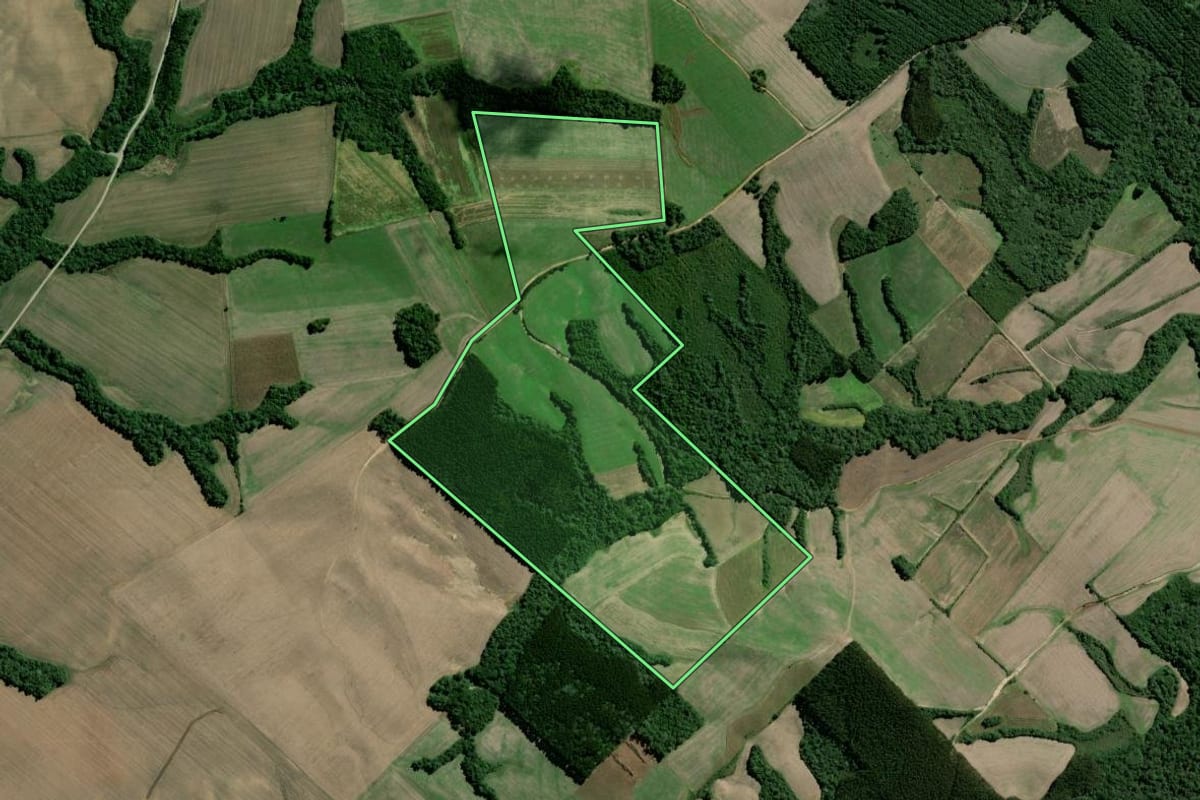 Imagem de satélite do imóvel rural em Rebouças (PR), com o contorno declarado no CAR desenhado por cima.