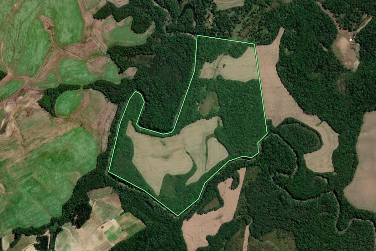 Imagem de satélite do imóvel rural em Rebouças (PR), com o contorno declarado no CAR desenhado por cima.