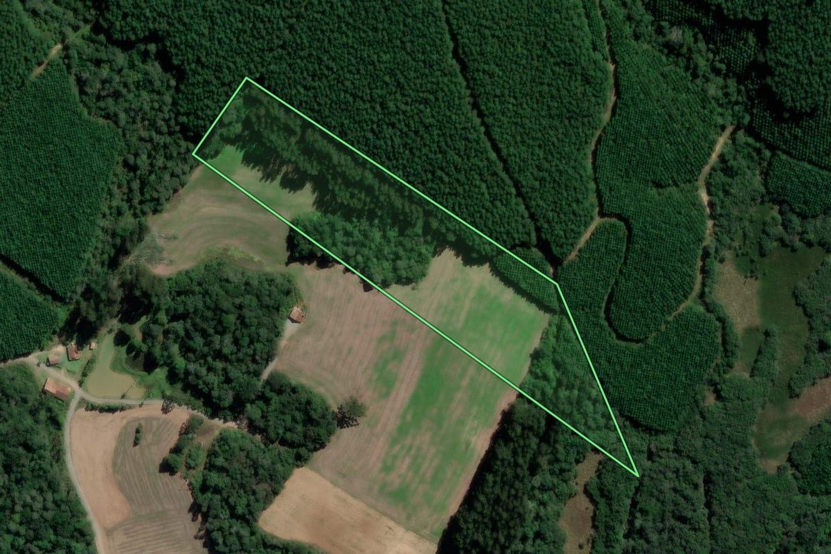 Imagem de satélite do imóvel rural em Rebouças (PR), com o contorno declarado no CAR desenhado por cima.