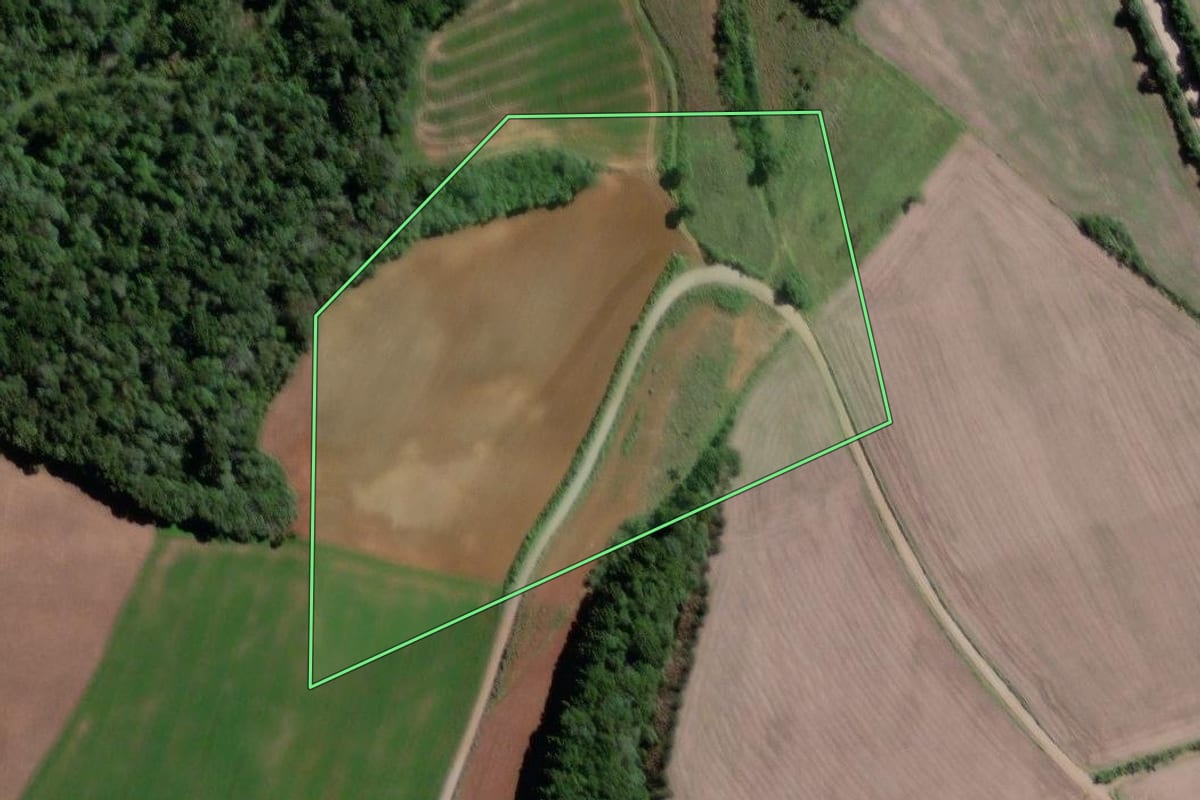 Imagem de satélite do imóvel rural em Rebouças (PR), com o contorno declarado no CAR desenhado por cima.