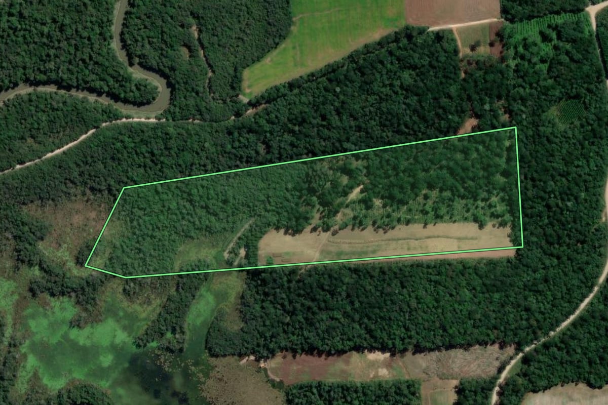 Imagem de satélite do imóvel rural em Rebouças (PR), com o contorno declarado no CAR desenhado por cima.