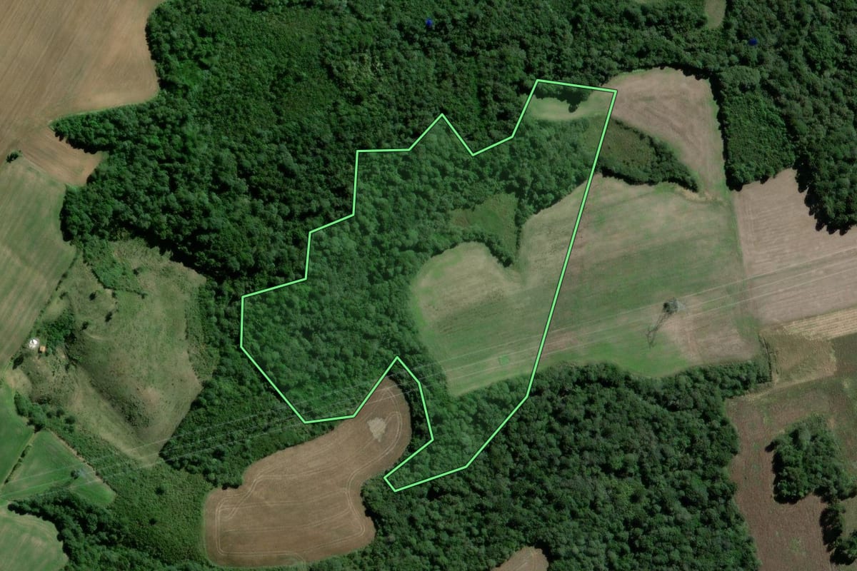 Imagem de satélite do imóvel rural em Rebouças (PR), com o contorno declarado no CAR desenhado por cima.