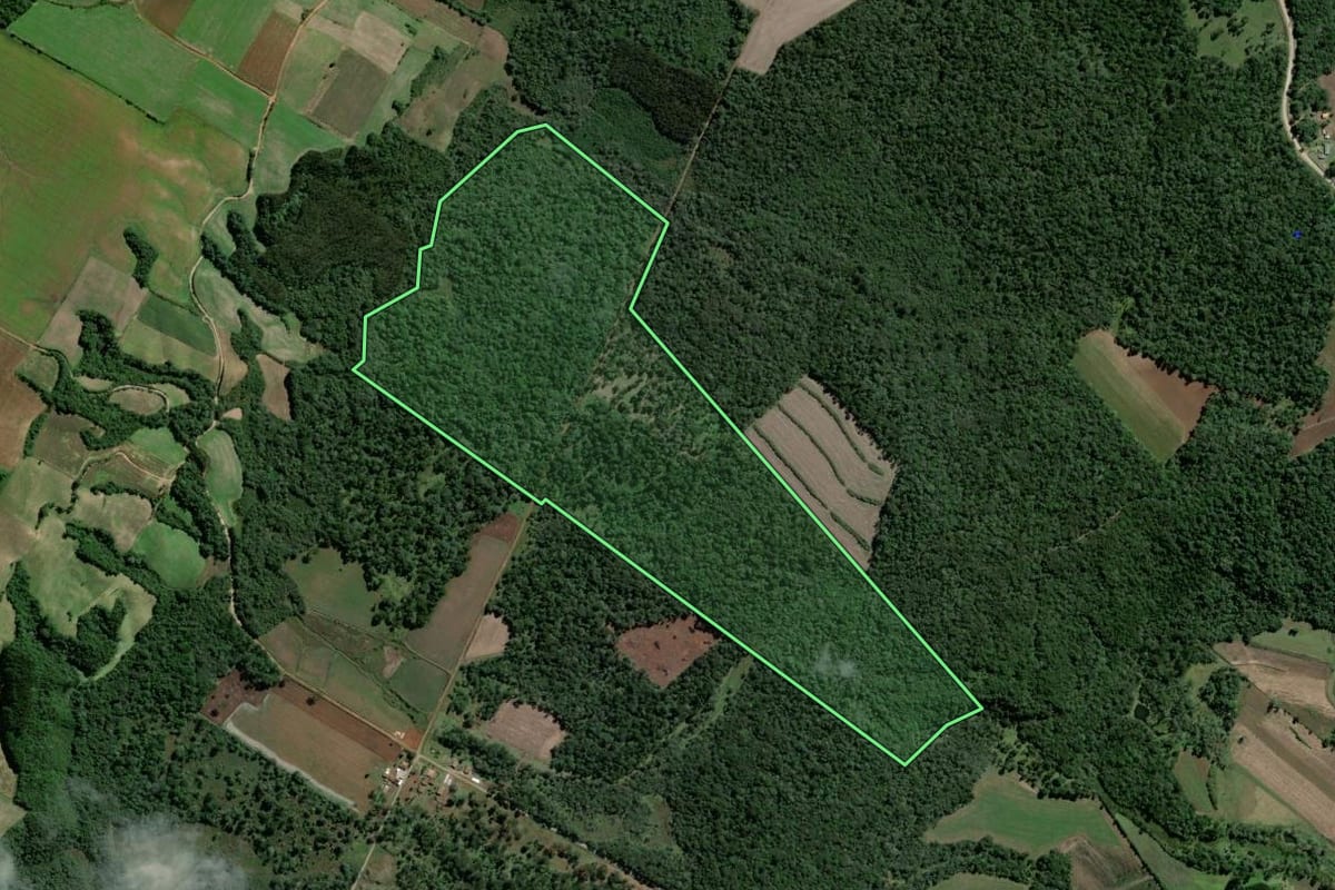 Imagem de satélite do imóvel rural em Rebouças (PR), com o contorno declarado no CAR desenhado por cima.