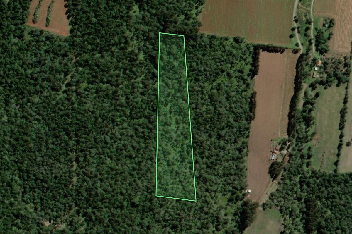 Imagem de satélite do imóvel rural em Rebouças (PR), com o contorno declarado no CAR desenhado por cima.