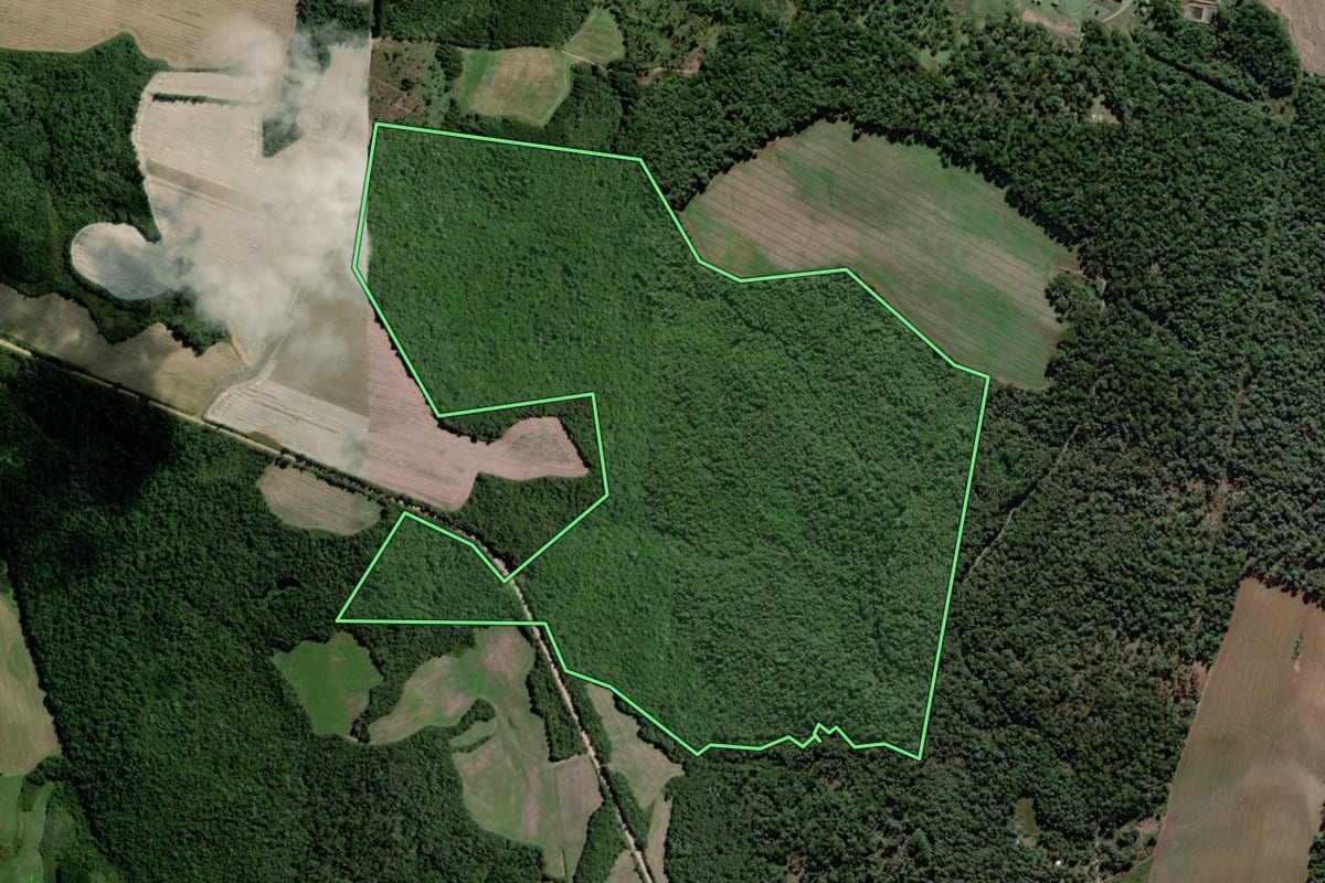 Imagem de satélite do imóvel rural em Rebouças (PR), com o contorno declarado no CAR desenhado por cima.
