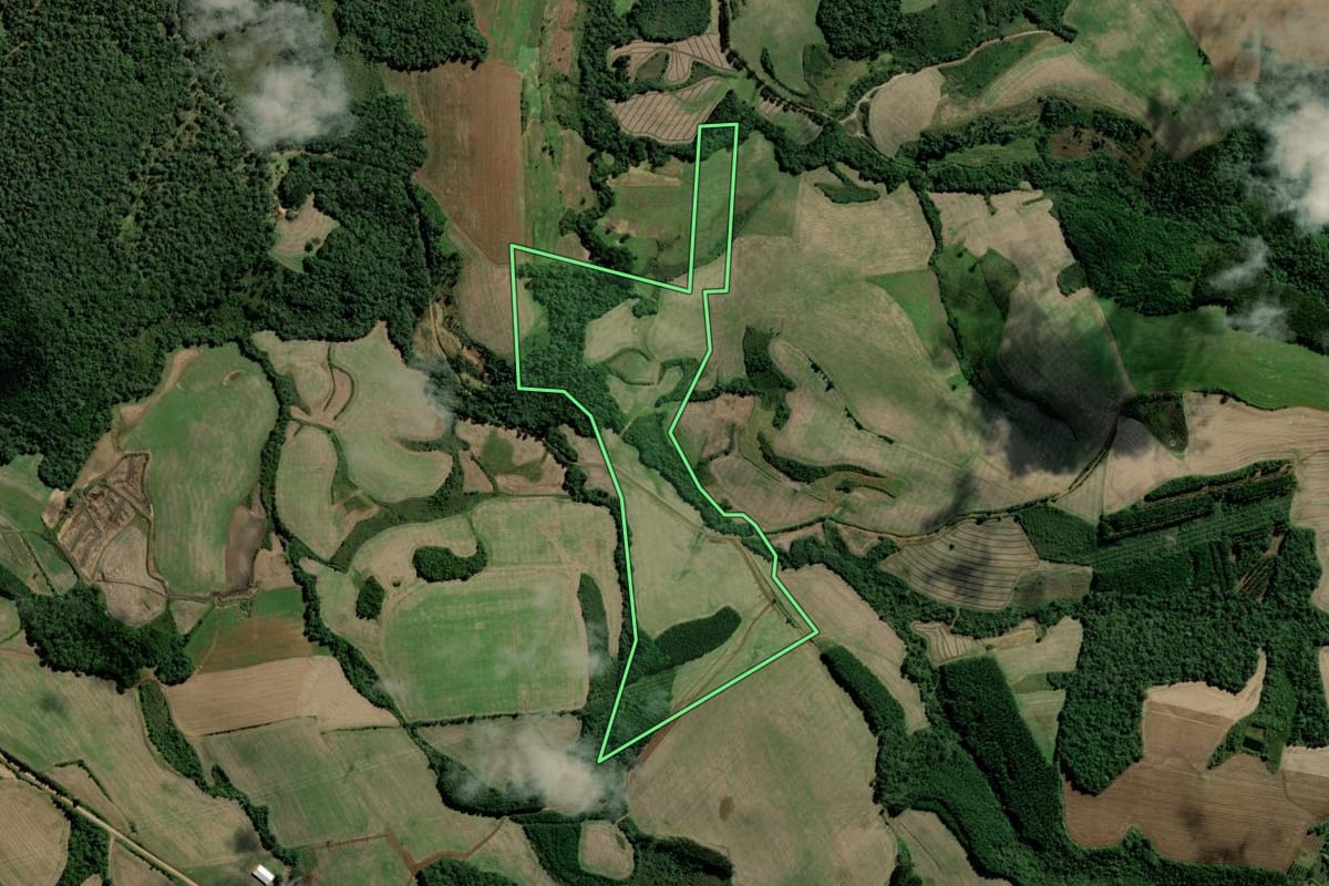 Imagem de satélite do imóvel rural em Rebouças (PR), com o contorno declarado no CAR desenhado por cima.