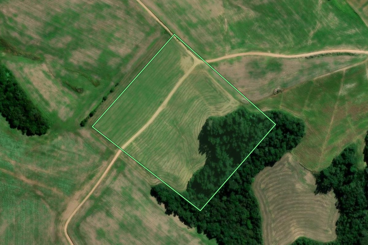 Imagem de satélite do imóvel rural em Rebouças (PR), com o contorno declarado no CAR desenhado por cima.
