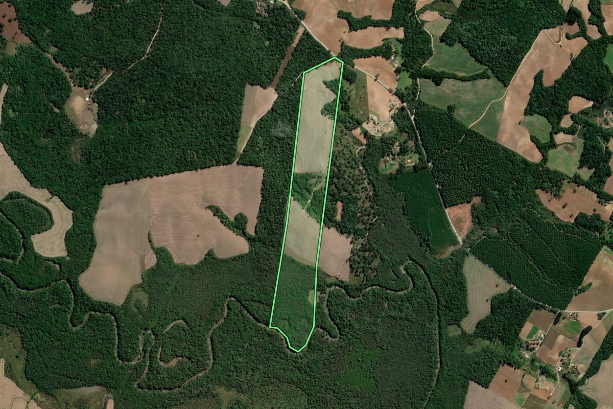 Imagem de satélite do imóvel rural em Rebouças (PR), com o contorno declarado no CAR desenhado por cima.