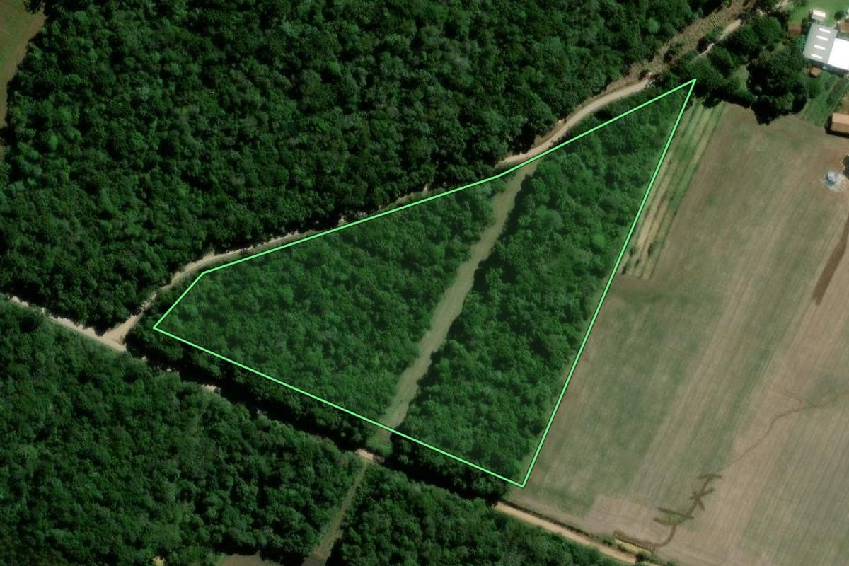 Imagem de satélite do imóvel rural em Rebouças (PR), com o contorno declarado no CAR desenhado por cima.
