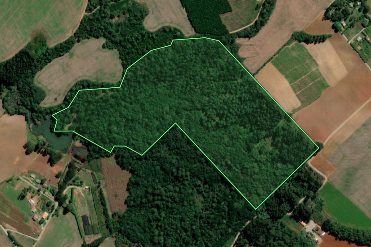 Imagem de satélite do imóvel rural em Rebouças (PR), com o contorno declarado no CAR desenhado por cima.