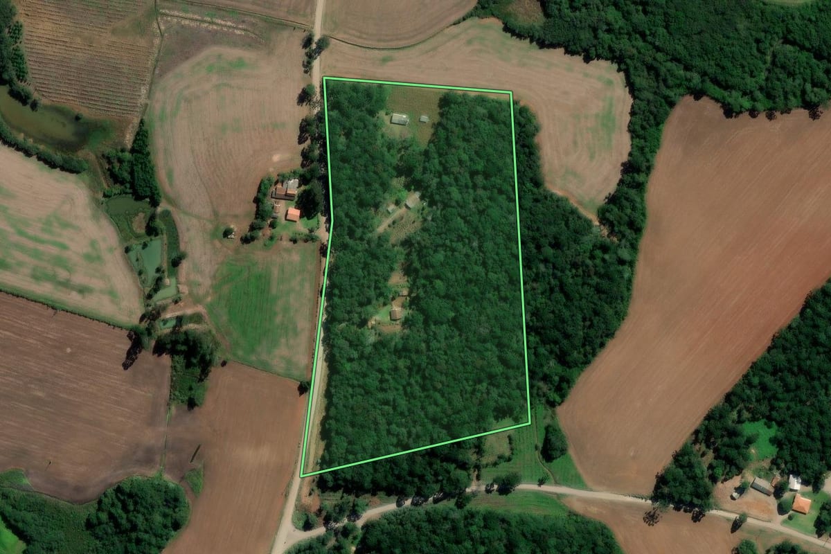 Imagem de satélite do imóvel rural em Rebouças (PR), com o contorno declarado no CAR desenhado por cima.