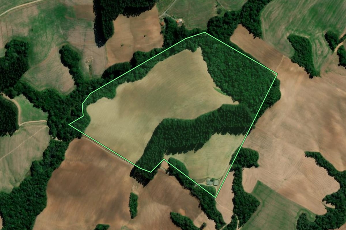 Imagem de satélite do imóvel rural em Rebouças (PR), com o contorno declarado no CAR desenhado por cima.