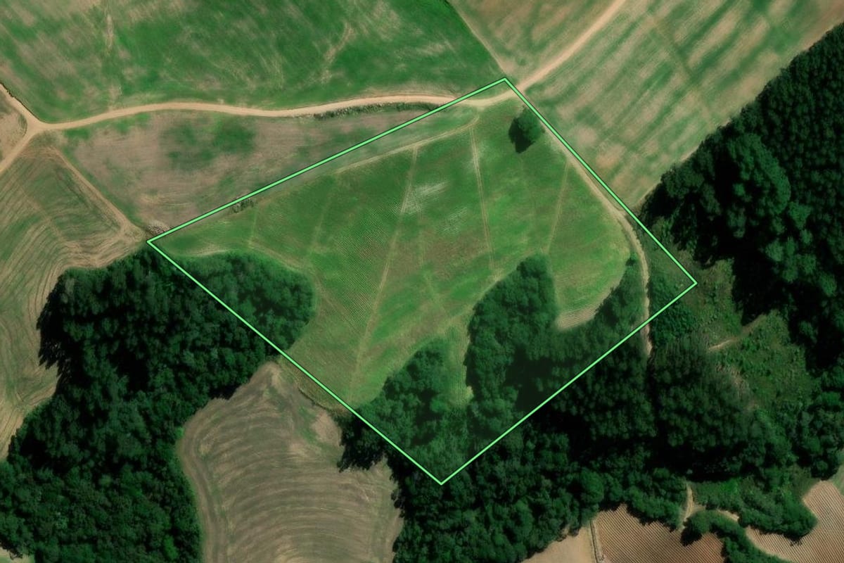 Imagem de satélite do imóvel rural em Rebouças (PR), com o contorno declarado no CAR desenhado por cima.
