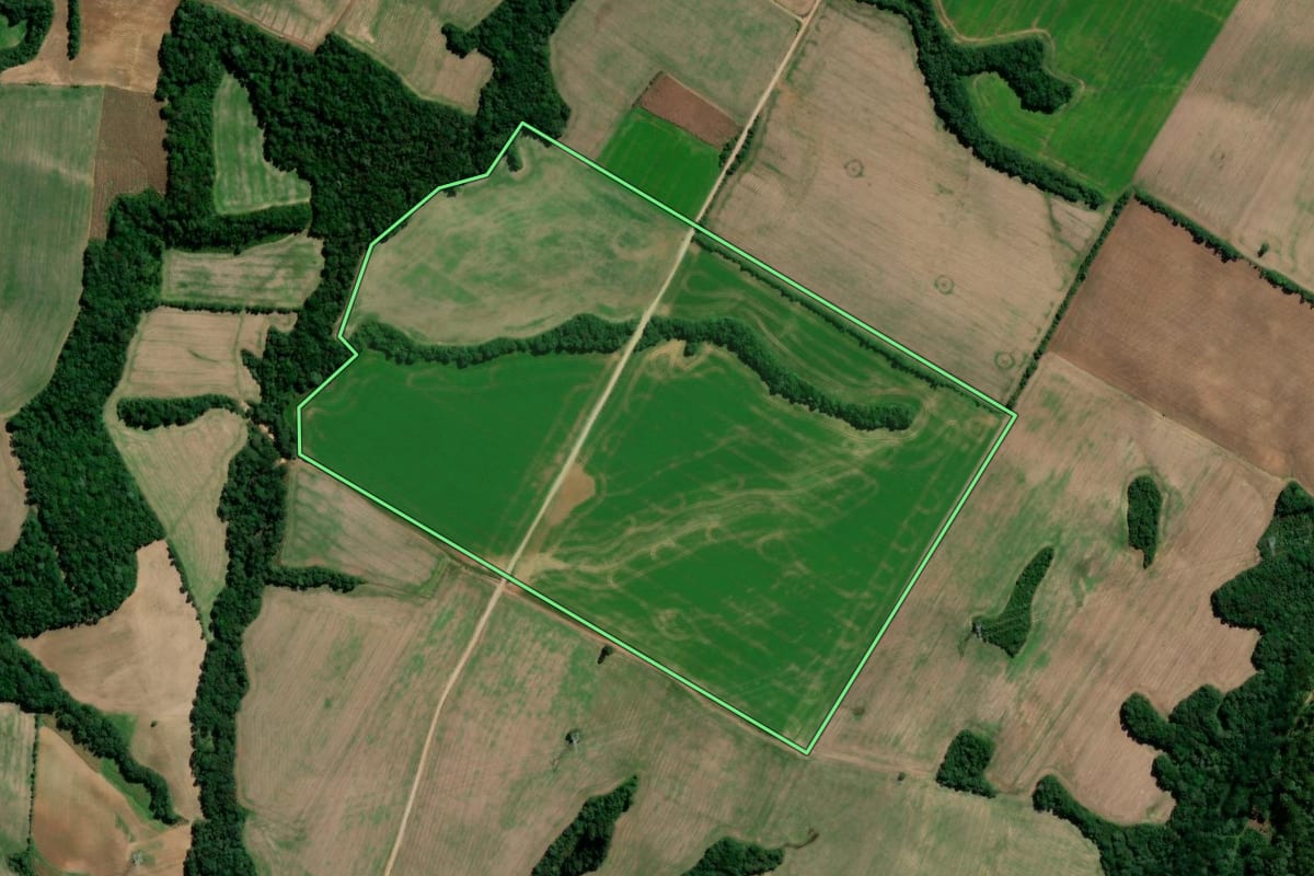 Imagem de satélite do imóvel rural em Rebouças (PR), com o contorno declarado no CAR desenhado por cima.