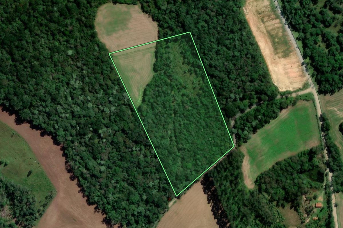 Imagem de satélite do imóvel rural em Rebouças (PR), com o contorno declarado no CAR desenhado por cima.