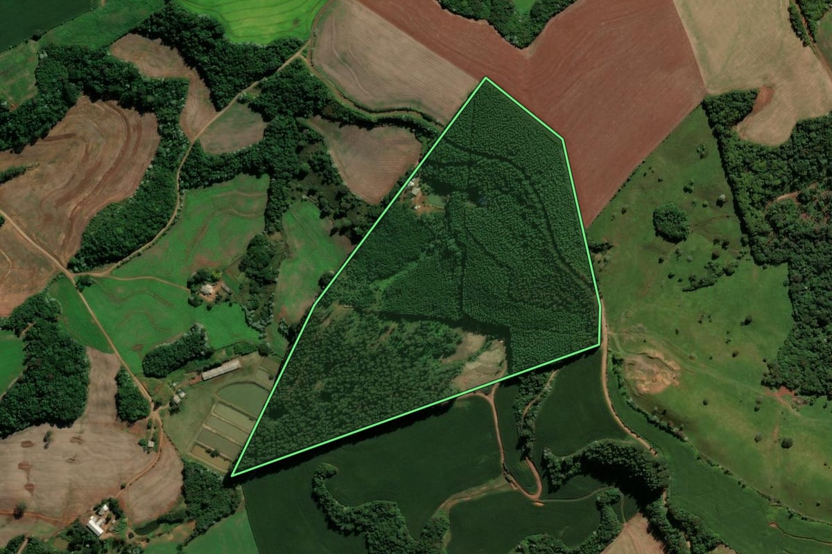 Imagem de satélite do imóvel rural em Renascença (PR), com o contorno declarado no CAR desenhado por cima.