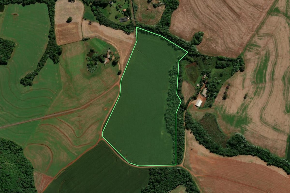 Imagem de satélite do imóvel rural em Renascença (PR), com o contorno declarado no CAR desenhado por cima.