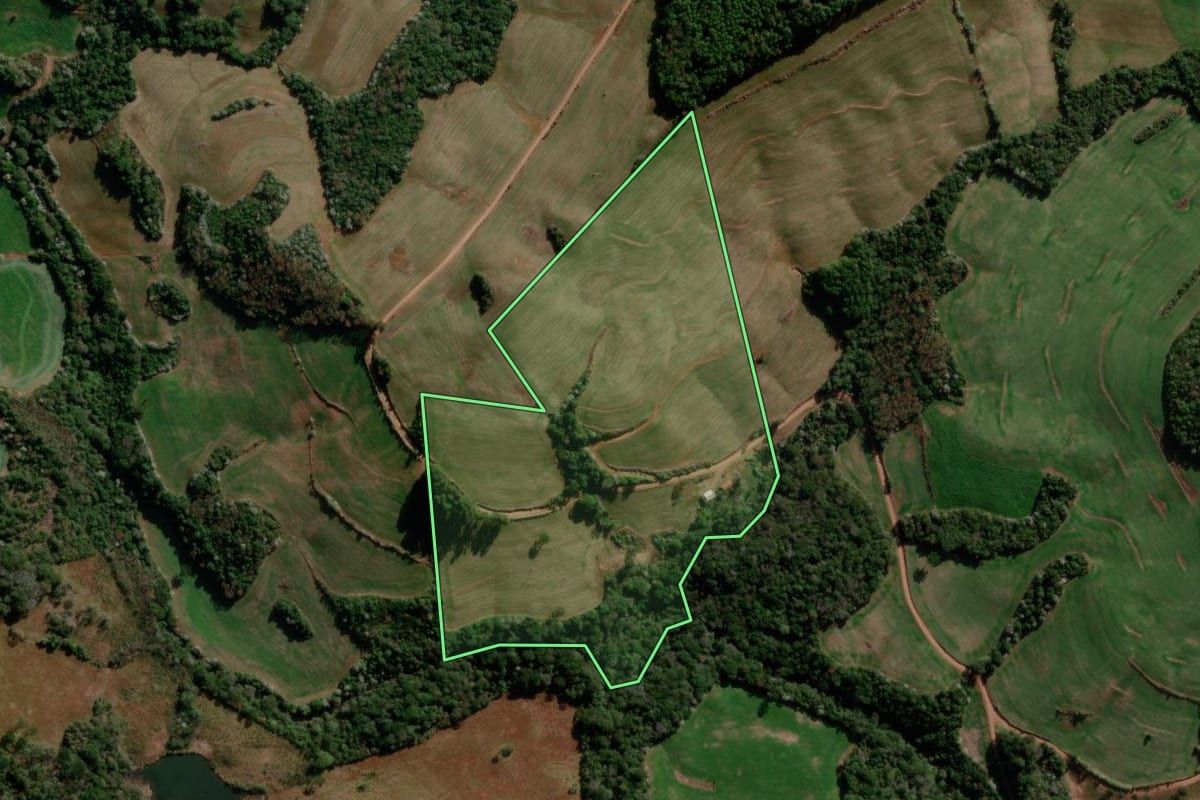 Imagem de satélite do imóvel rural em Renascença (PR), com o contorno declarado no CAR desenhado por cima.