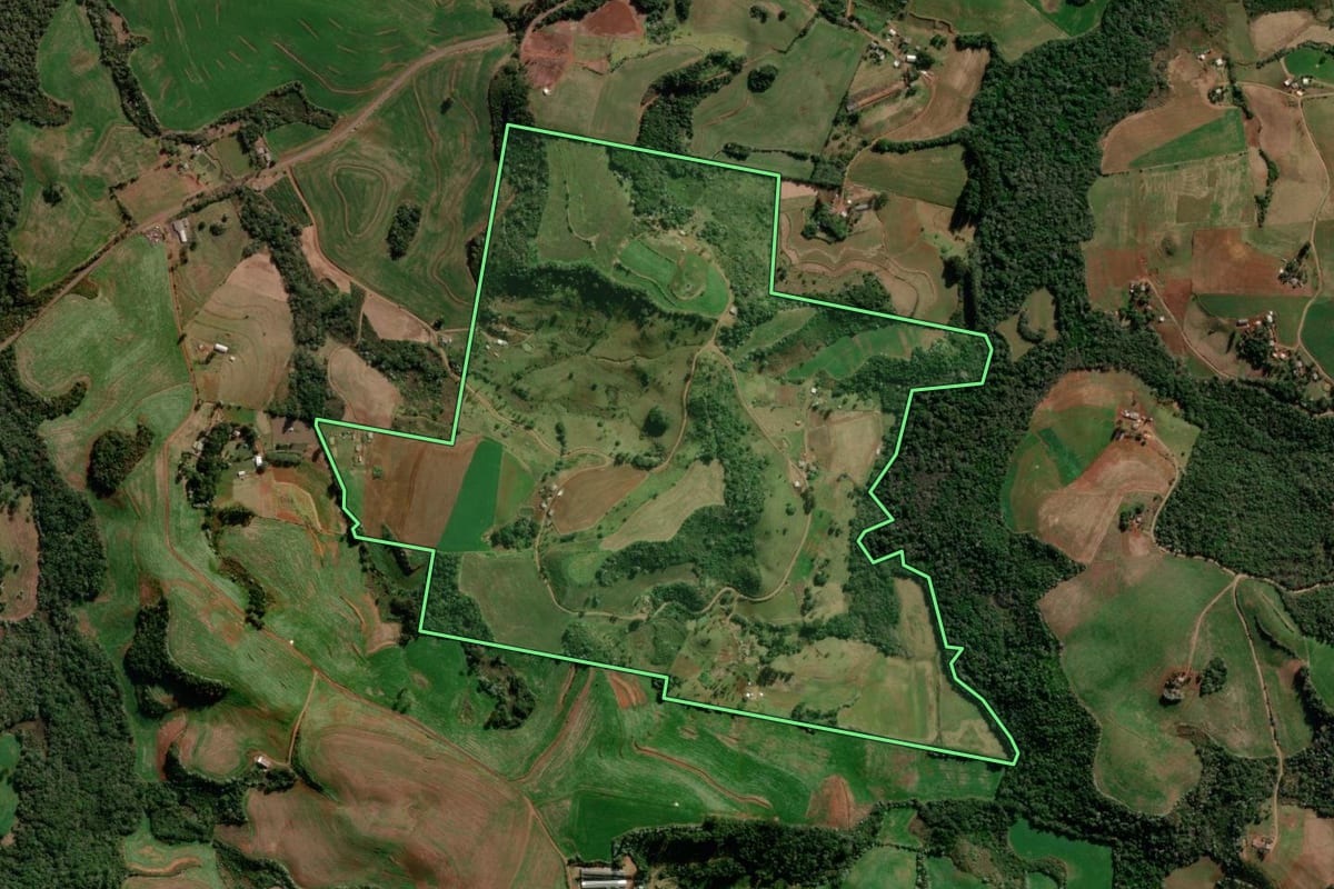 Imagem de satélite do imóvel rural em Renascença (PR), com o contorno declarado no CAR desenhado por cima.