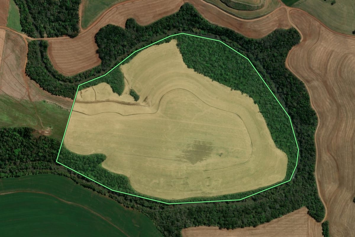 Imagem de satélite do imóvel rural em Renascença (PR), com o contorno declarado no CAR desenhado por cima.