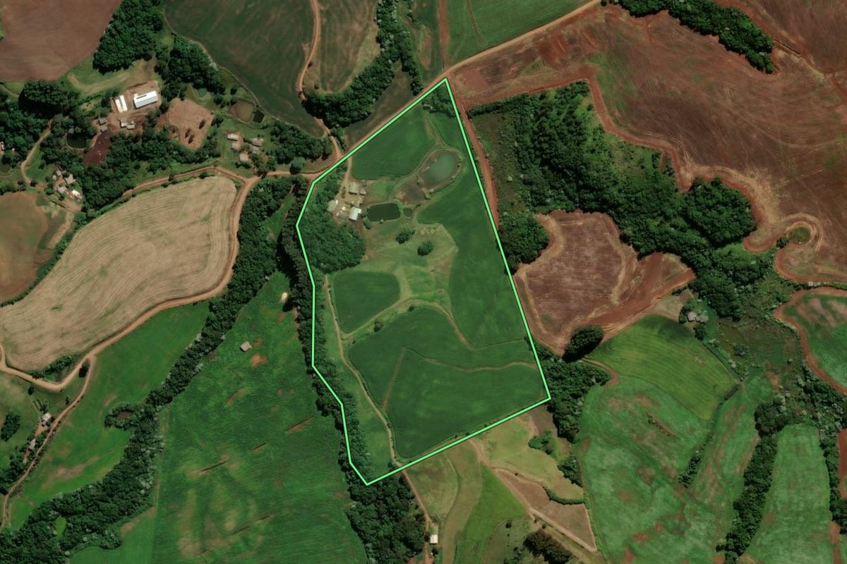 Imagem de satélite do imóvel rural em Renascença (PR), com o contorno declarado no CAR desenhado por cima.