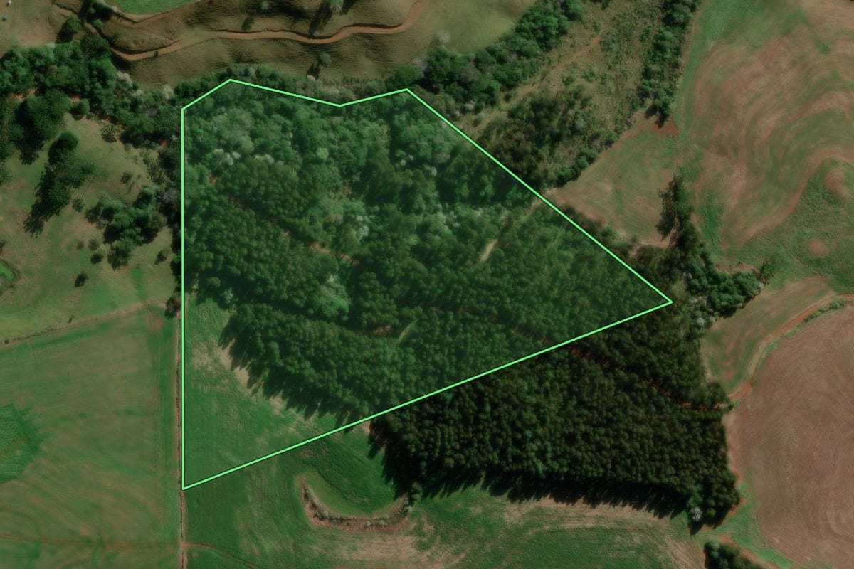 Imagem de satélite do imóvel rural em Renascença (PR), com o contorno declarado no CAR desenhado por cima.