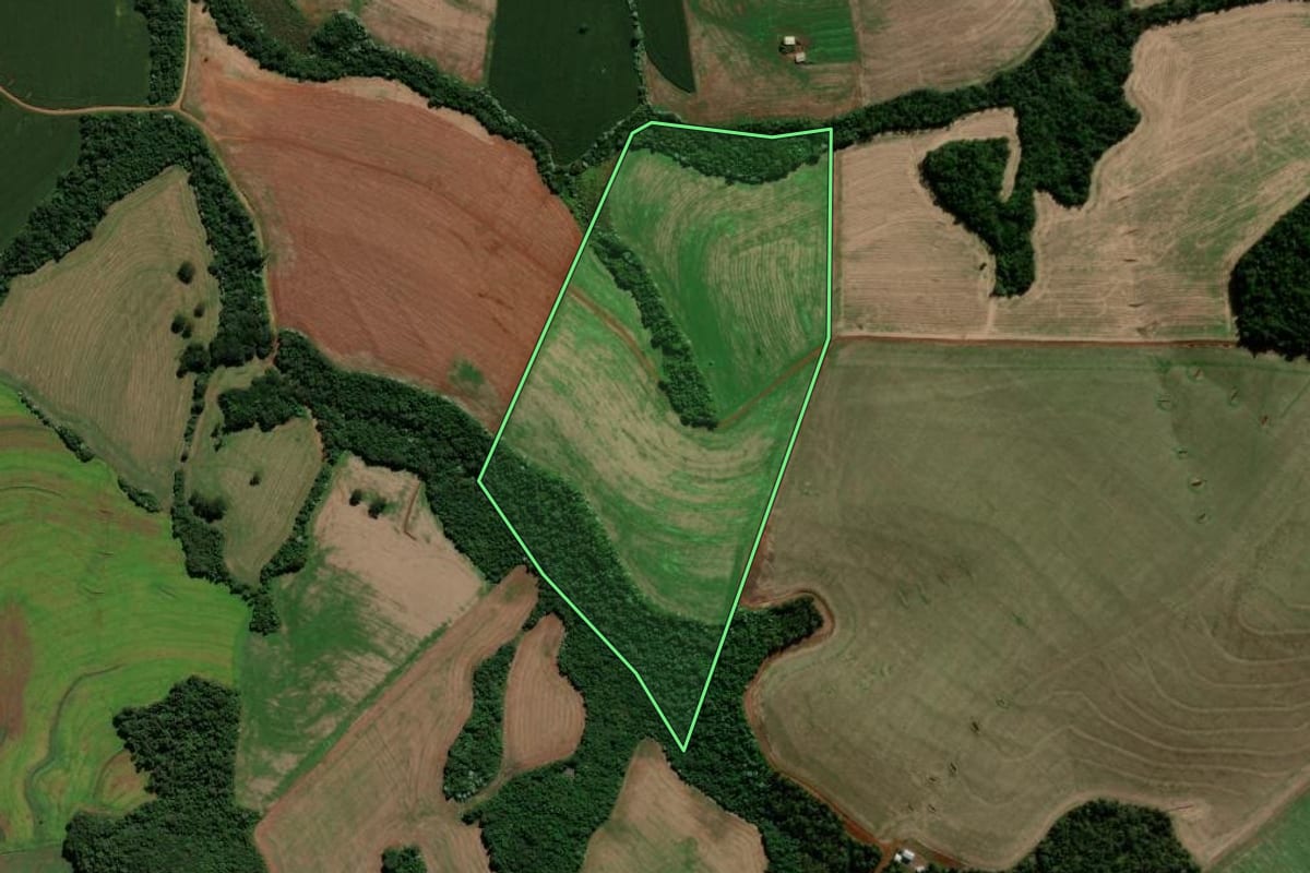 Imagem de satélite do imóvel rural em Renascença (PR), com o contorno declarado no CAR desenhado por cima.