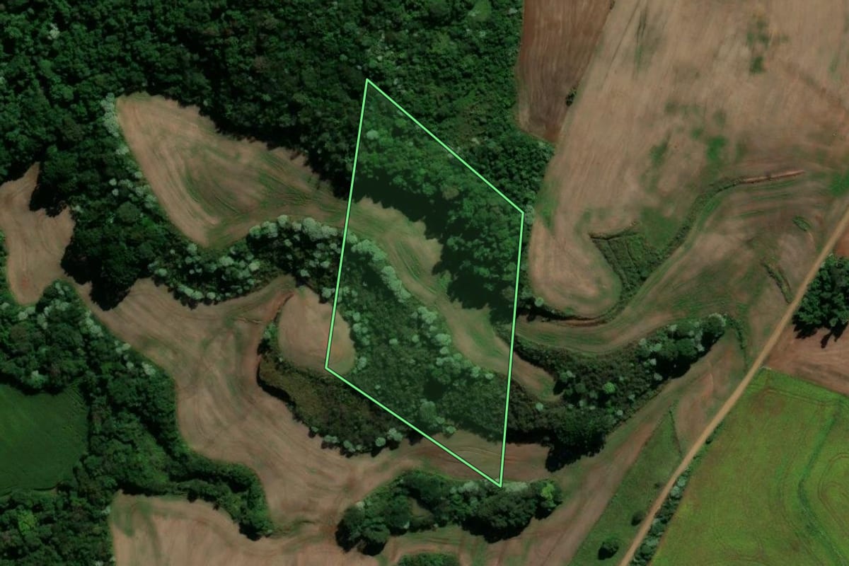 Imagem de satélite do imóvel rural em Renascença (PR), com o contorno declarado no CAR desenhado por cima.