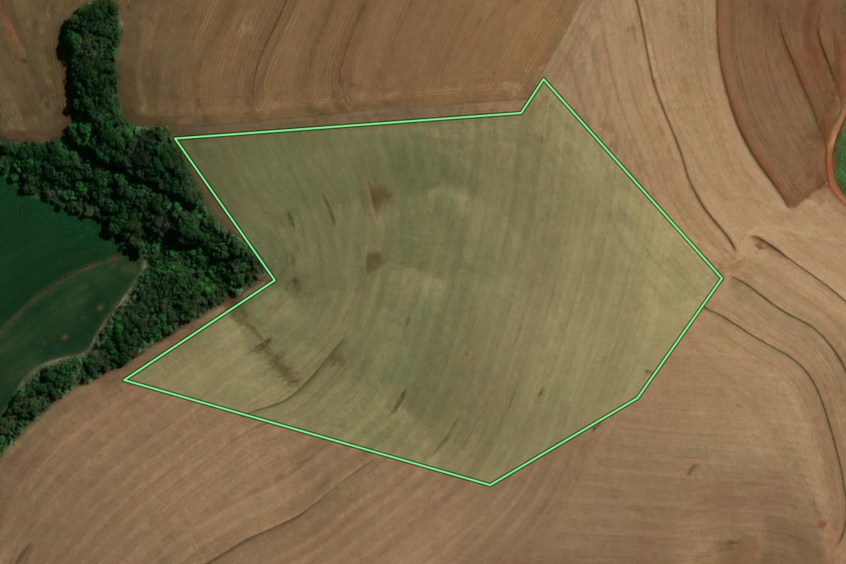 Imagem de satélite do imóvel rural em Renascença (PR), com o contorno declarado no CAR desenhado por cima.