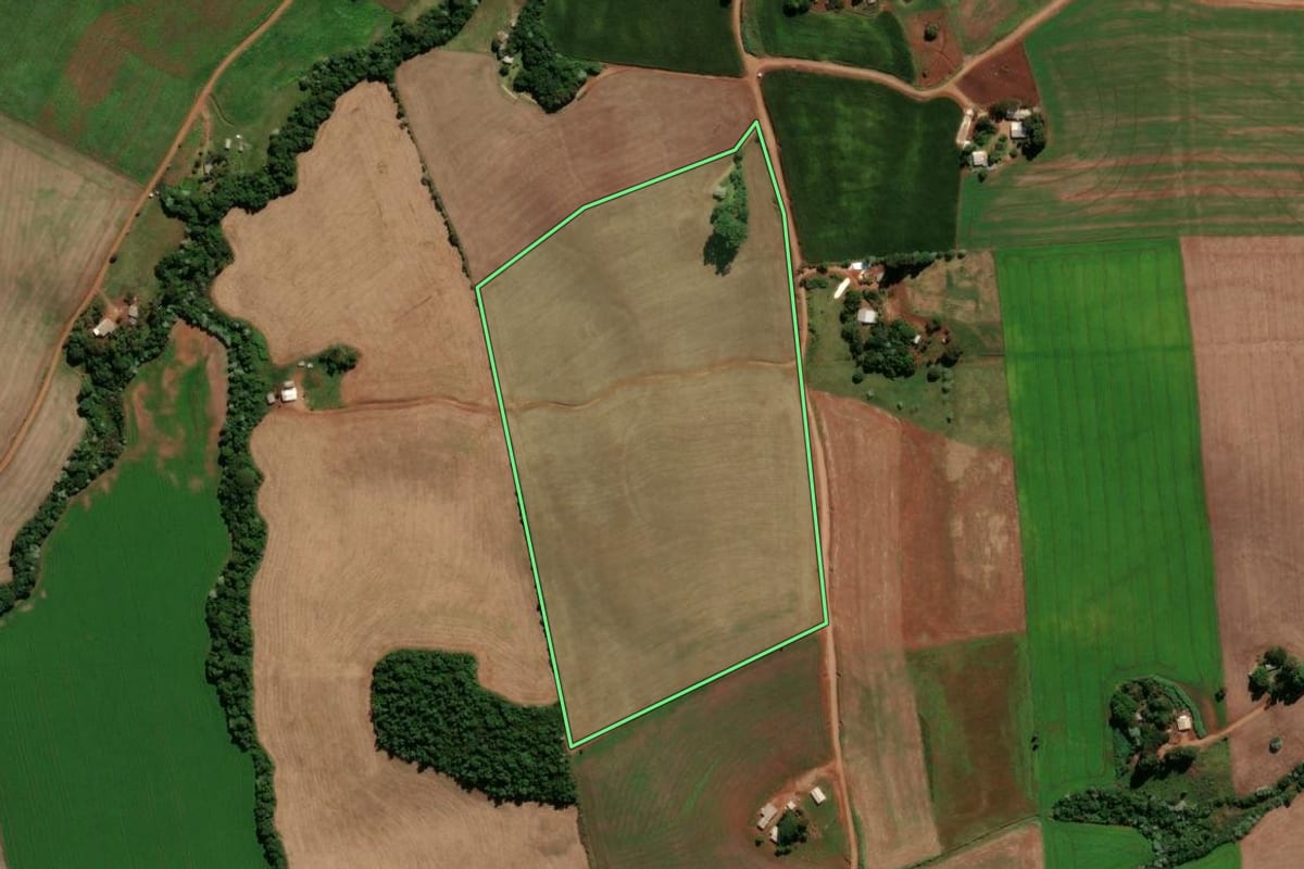 Imagem de satélite do imóvel rural em Renascença (PR), com o contorno declarado no CAR desenhado por cima.