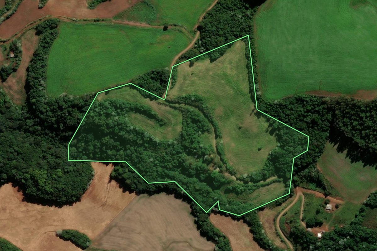 Imagem de satélite do imóvel rural em Renascença (PR), com o contorno declarado no CAR desenhado por cima.