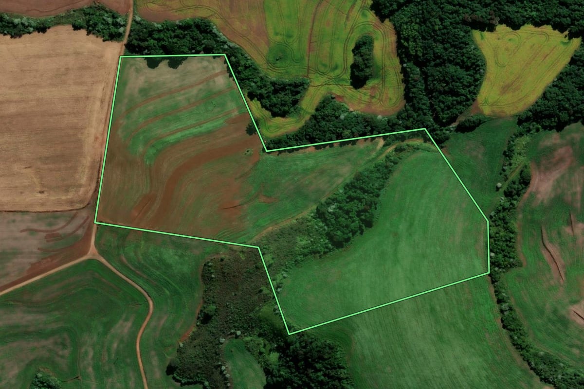 Imagem de satélite do imóvel rural em Renascença (PR), com o contorno declarado no CAR desenhado por cima.