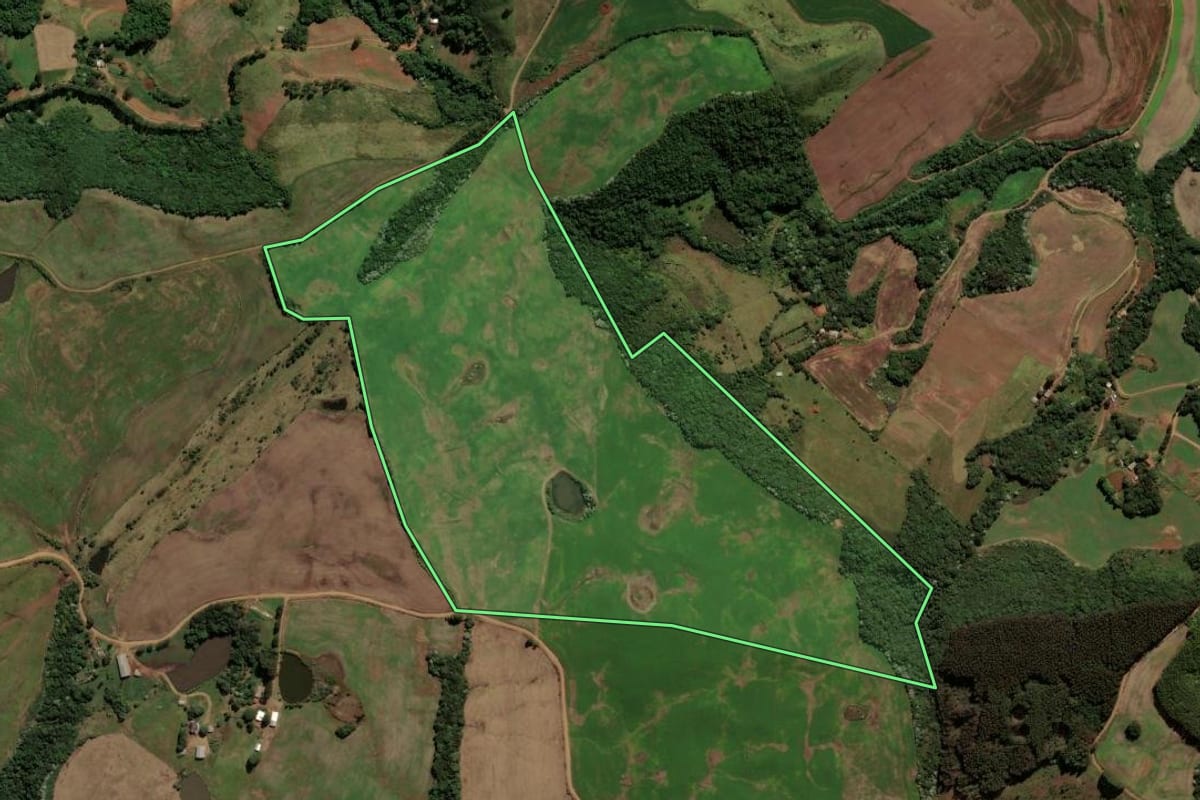 Imagem de satélite do imóvel rural em Renascença (PR), com o contorno declarado no CAR desenhado por cima.