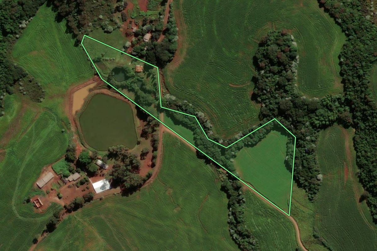 Imagem de satélite do imóvel rural em Renascença (PR), com o contorno declarado no CAR desenhado por cima.
