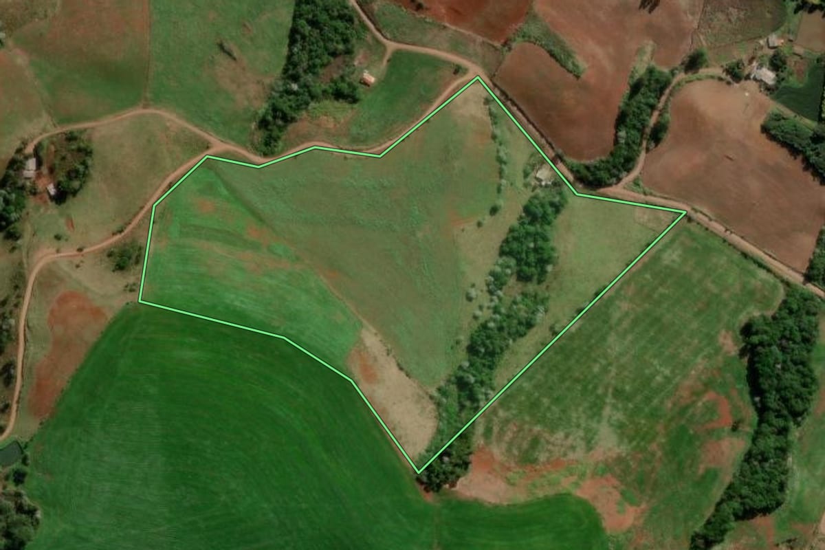 Imagem de satélite do imóvel rural em Renascença (PR), com o contorno declarado no CAR desenhado por cima.