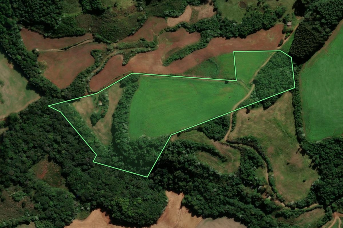 Imagem de satélite do imóvel rural em Renascença (PR), com o contorno declarado no CAR desenhado por cima.