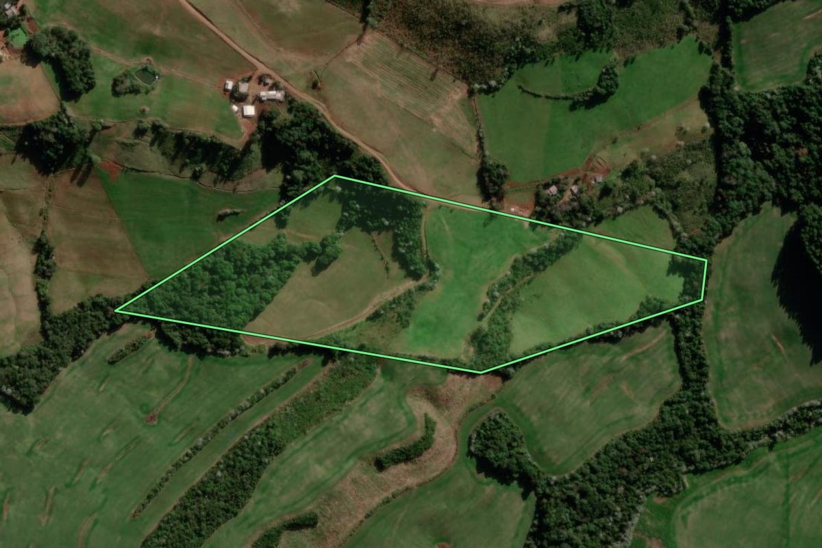 Imagem de satélite do imóvel rural em Renascença (PR), com o contorno declarado no CAR desenhado por cima.