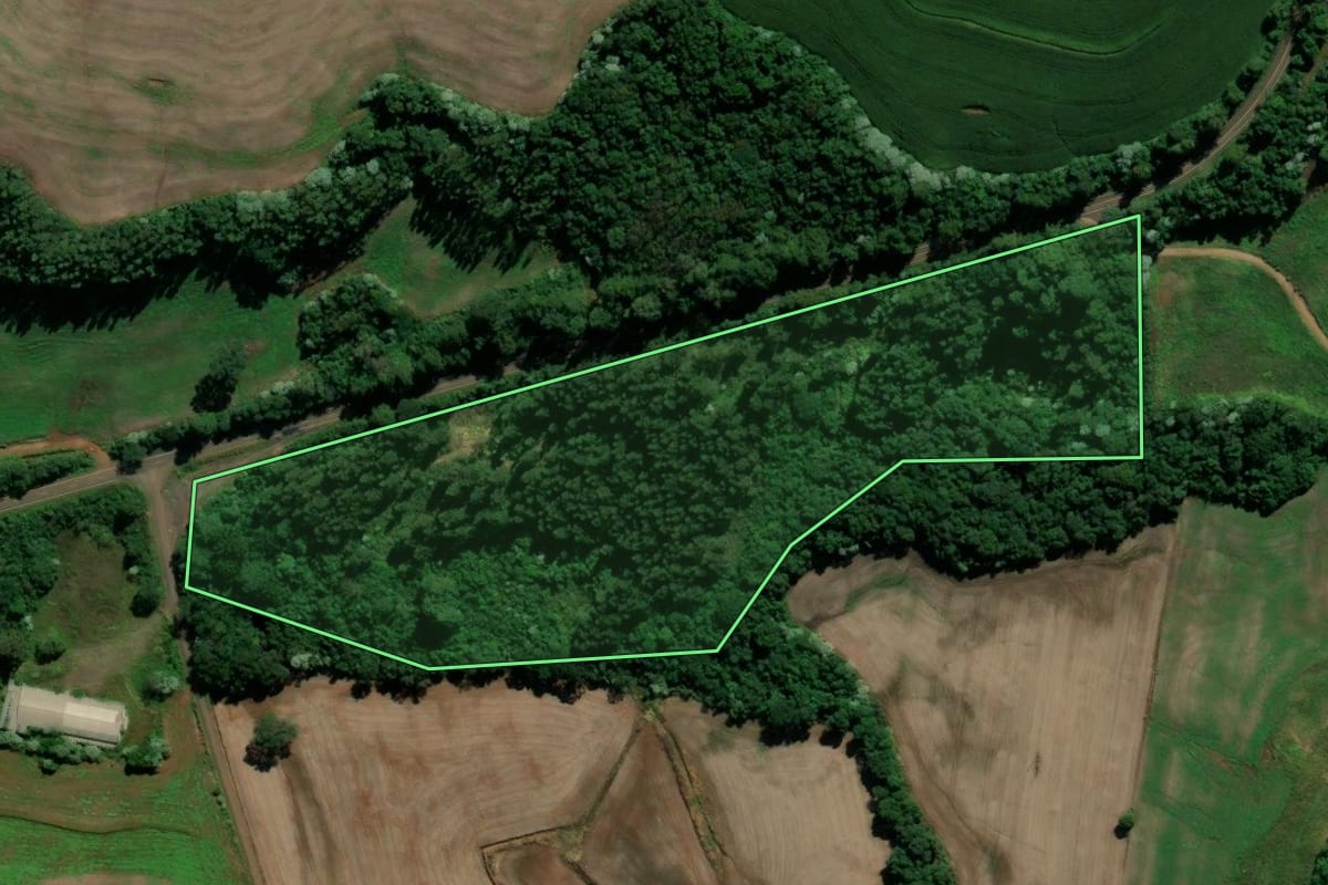 Imagem de satélite do imóvel rural em Renascença (PR), com o contorno declarado no CAR desenhado por cima.