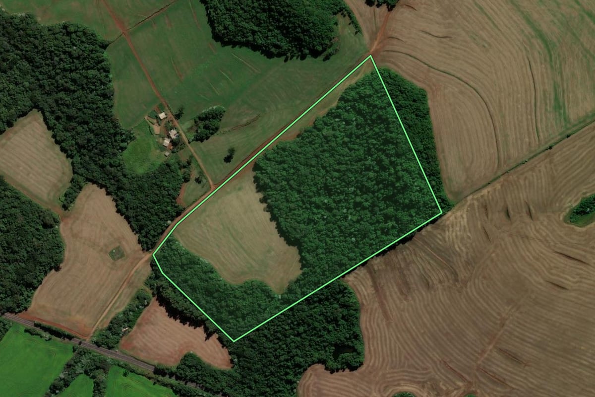 Imagem de satélite do imóvel rural em Renascença (PR), com o contorno declarado no CAR desenhado por cima.