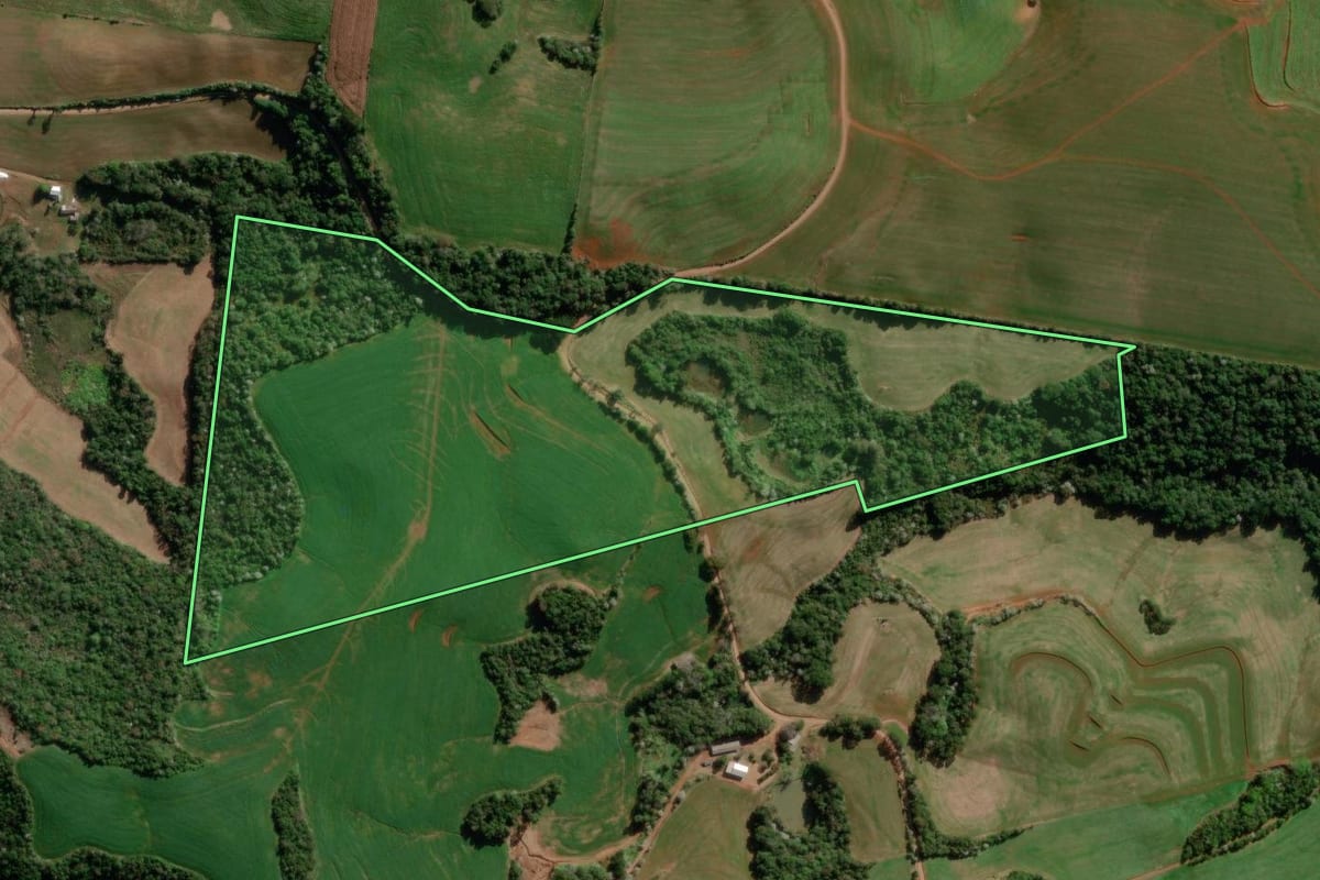 Imagem de satélite do imóvel rural em Renascença (PR), com o contorno declarado no CAR desenhado por cima.